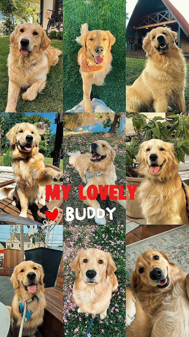 My lovely buddy