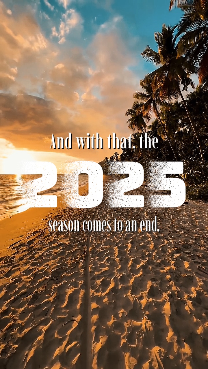 2025 시즌 요약