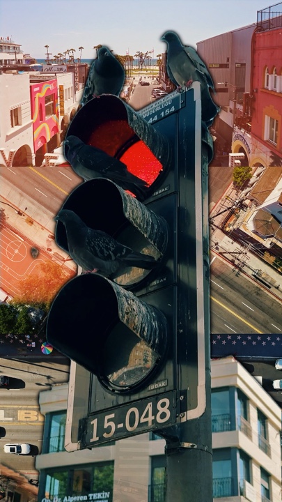 CUTOUT TRANSITION
