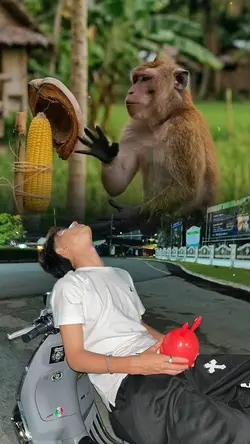 Sana maulit muli