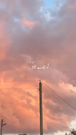 Tu Jevain Shala Chan