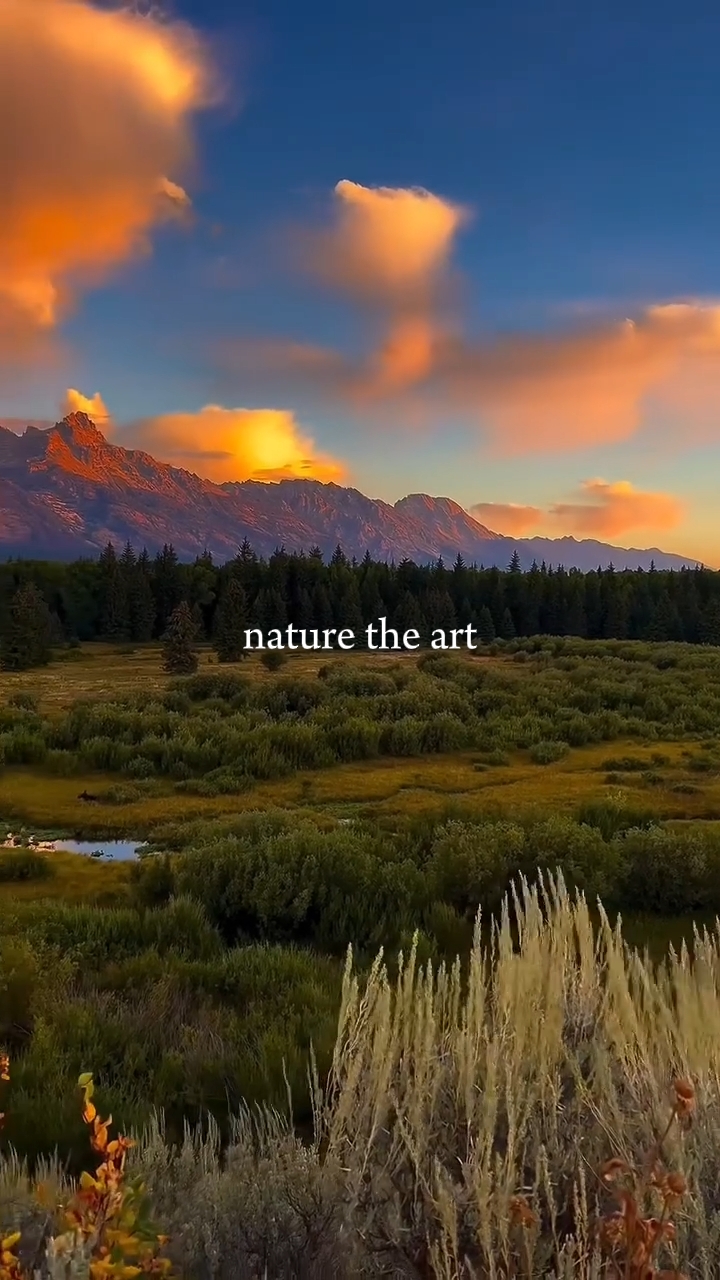 Nature the art