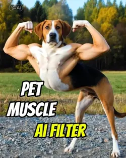 pet muscle filter
