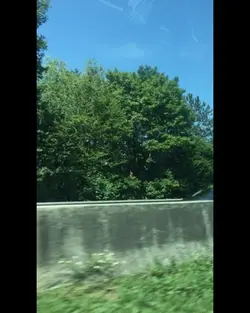 Slow motion snowfall