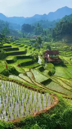 di beh kulonneun