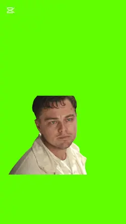 WTF is going on here