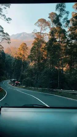 asal sembuh lukamu 