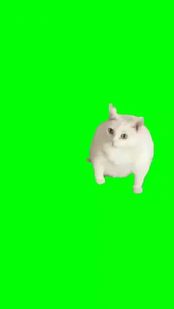 cat throw up meme