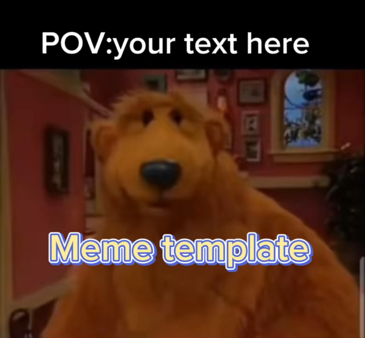 Meme template 🤪