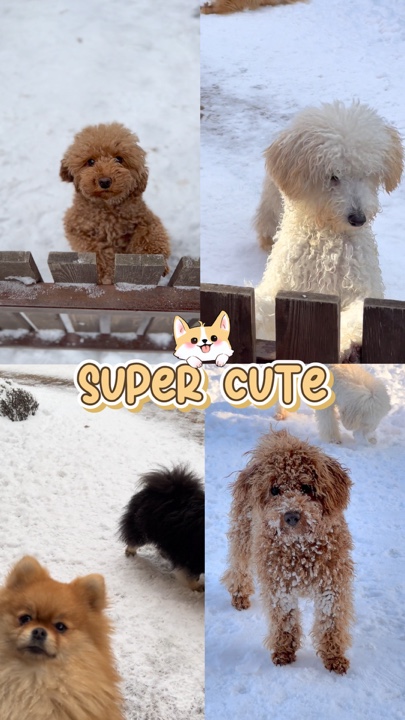 Super Cute