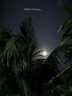 Oree piyaaa...