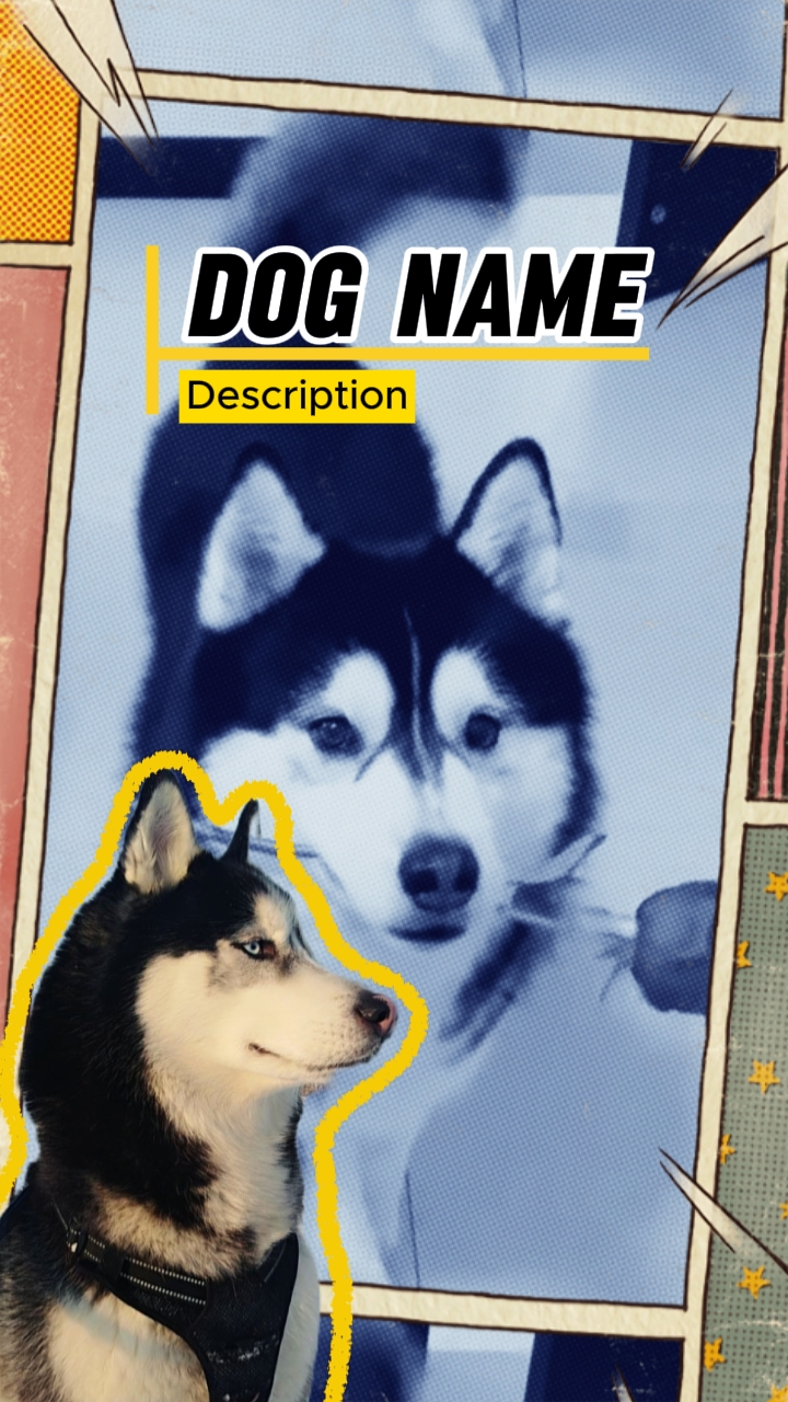 INTRODUCCIÓN DE PERROS