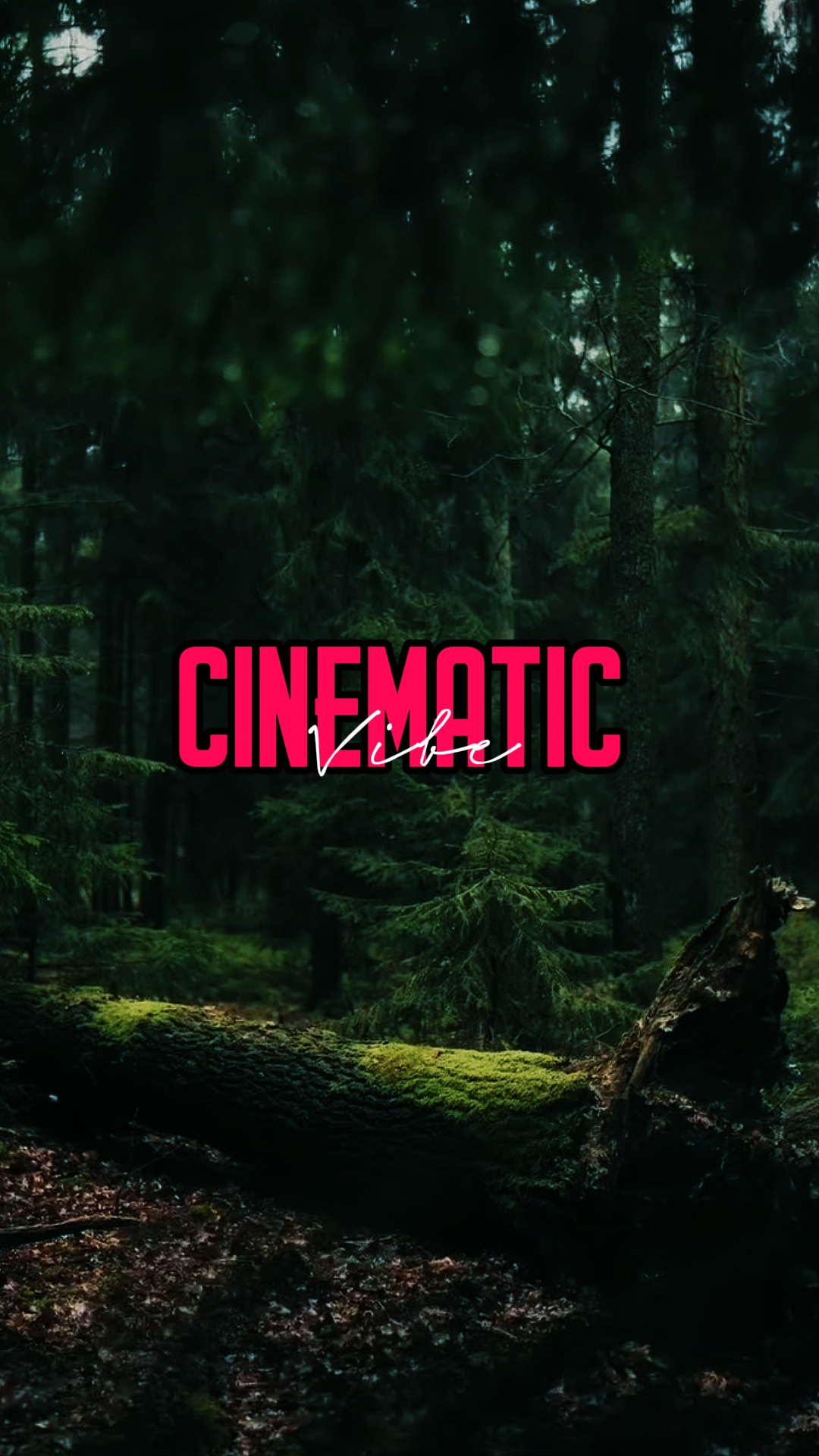 5 clips cinematic 