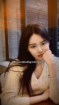 Một con chim