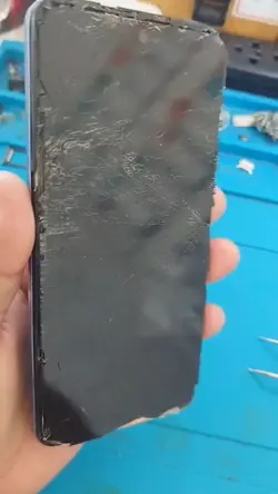 celular