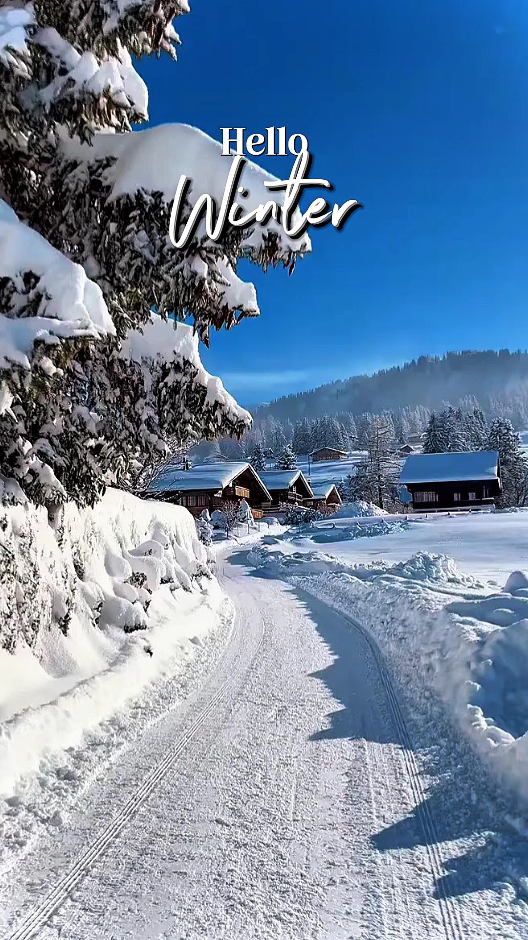 Hello Winter