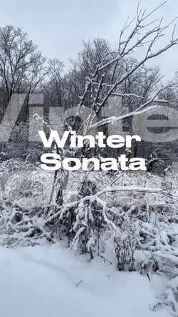 Winter sonata