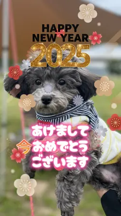 年賀状テンプレ🎍画像1枚