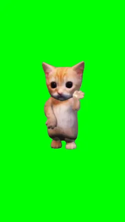 roblox cat dance 
