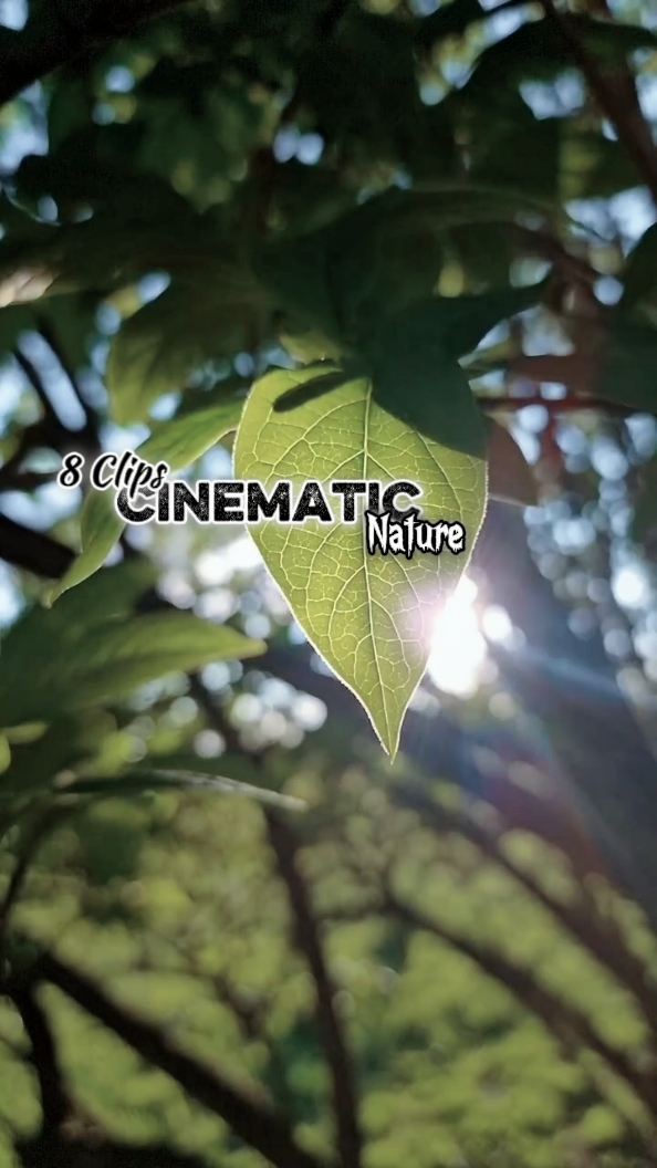 Cinematic 8 Clips 