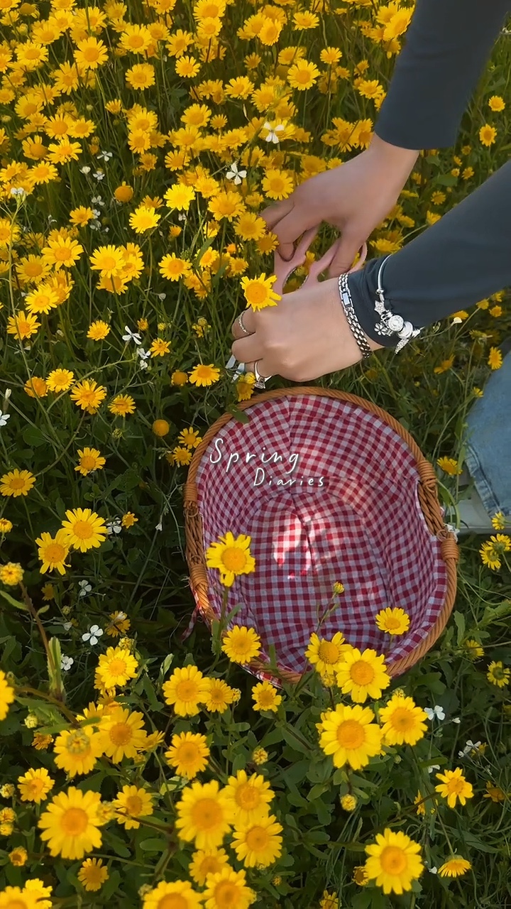 Spring diaries 