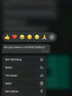 criminal history v14