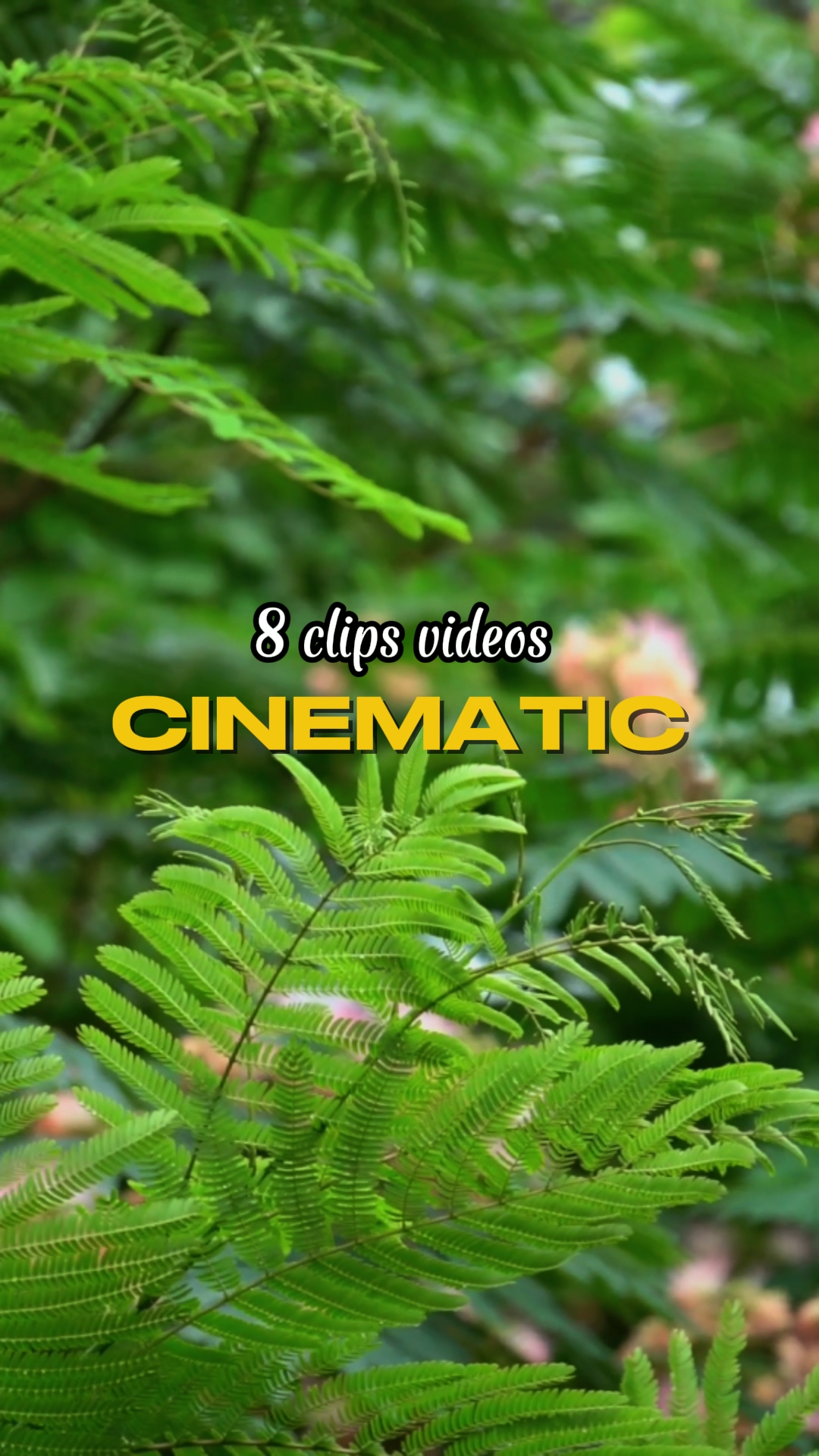 Cinematic 8 clip 