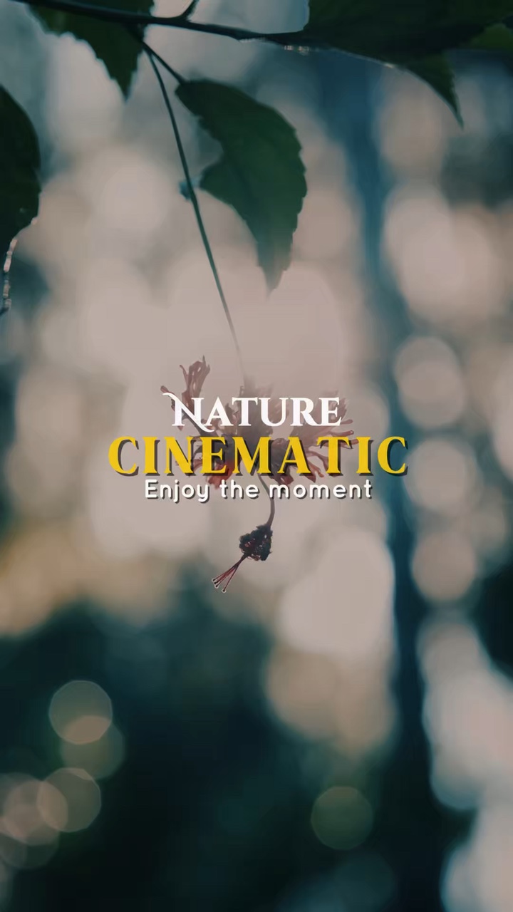 Nature Cinématique