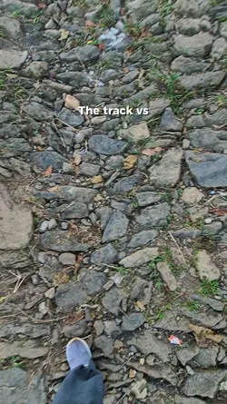 Track vs View