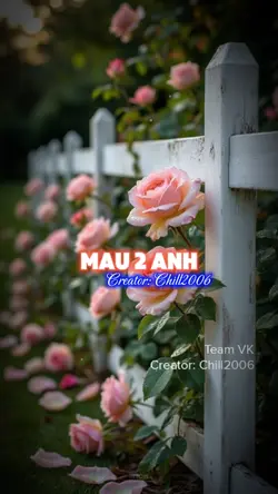 Mẫu 2 ảnh