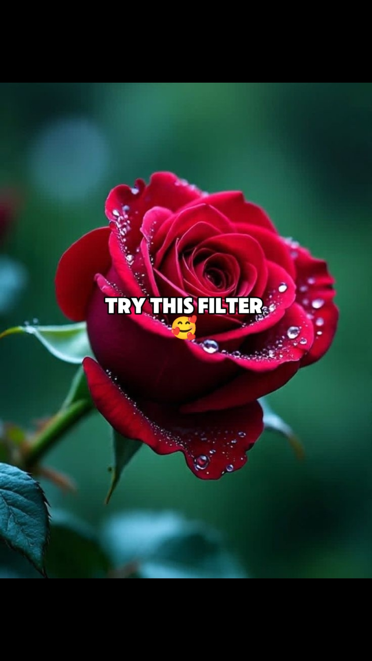 Coba Filter ini