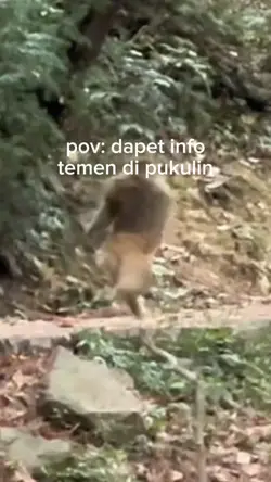 dapet info temen di