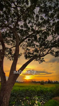 រសៀលគងព្រៃ