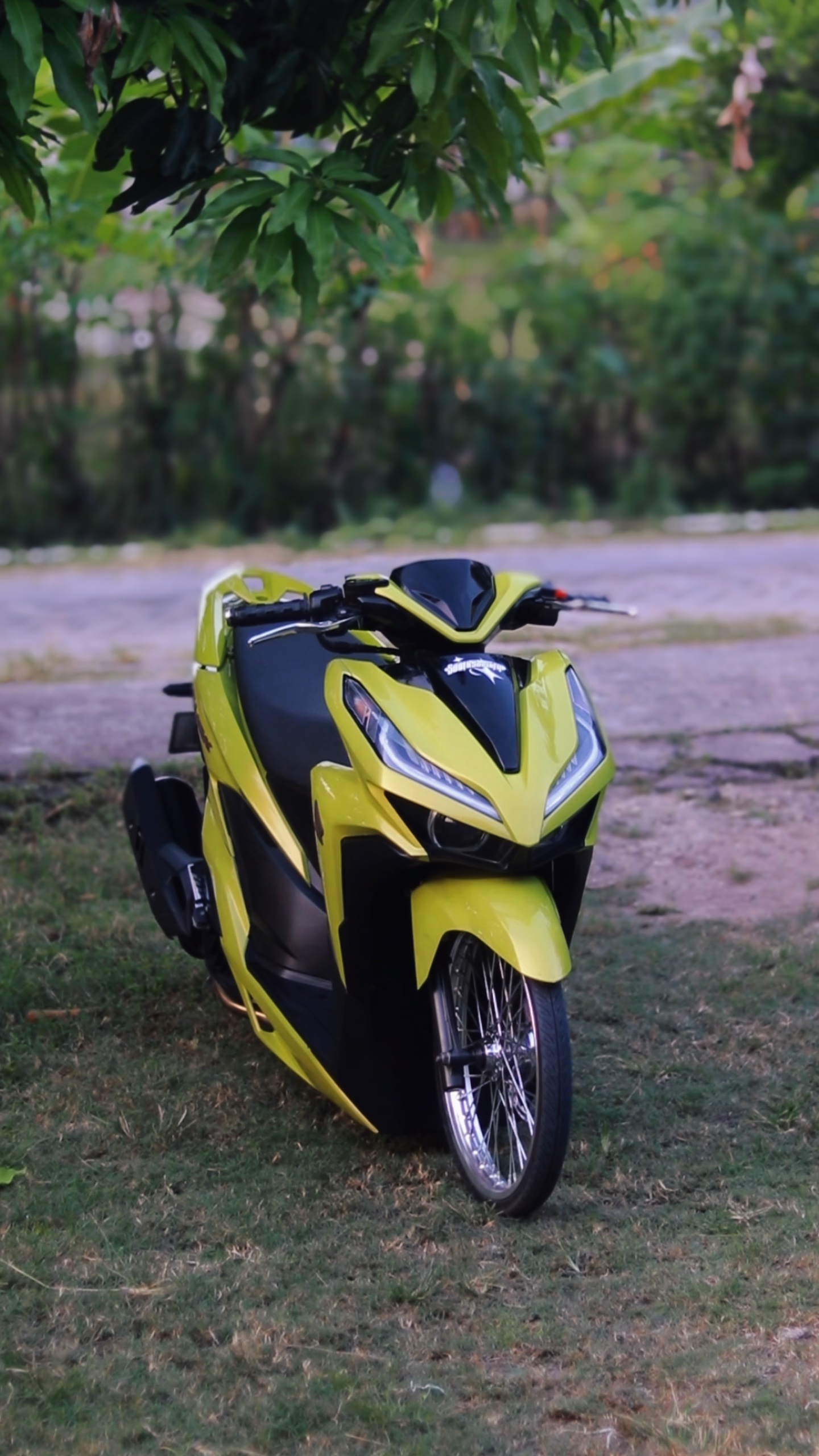 Cover Picture