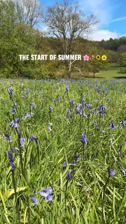 Start of Summe