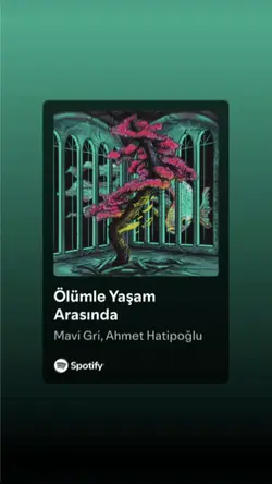 Sevilmediğin yerde.