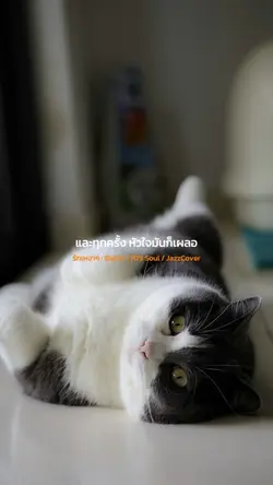 รักเหงาๆ : Illslick 