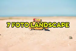 7 foto landscape