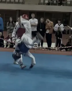 Frontflip headshot