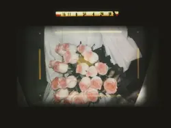 film frame cam
