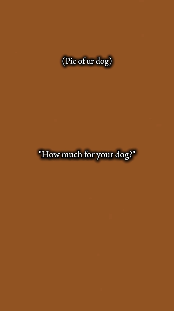 dog