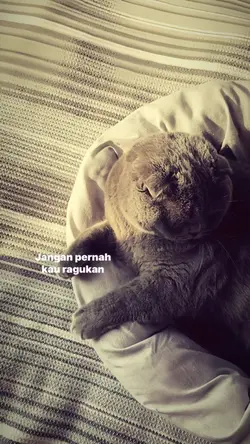 Mantan terindah