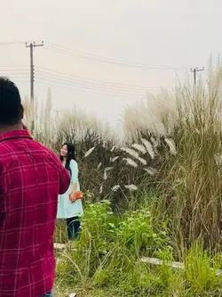 Pahari
