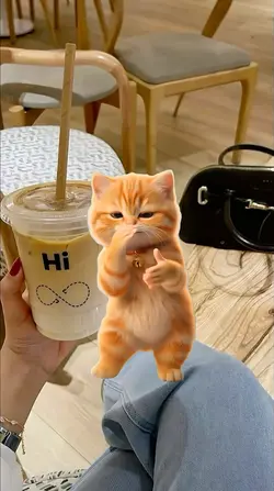 Kucing join trend