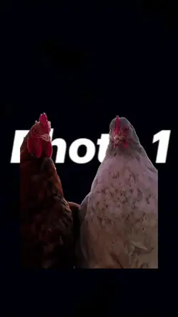 New Trend Goat Edit