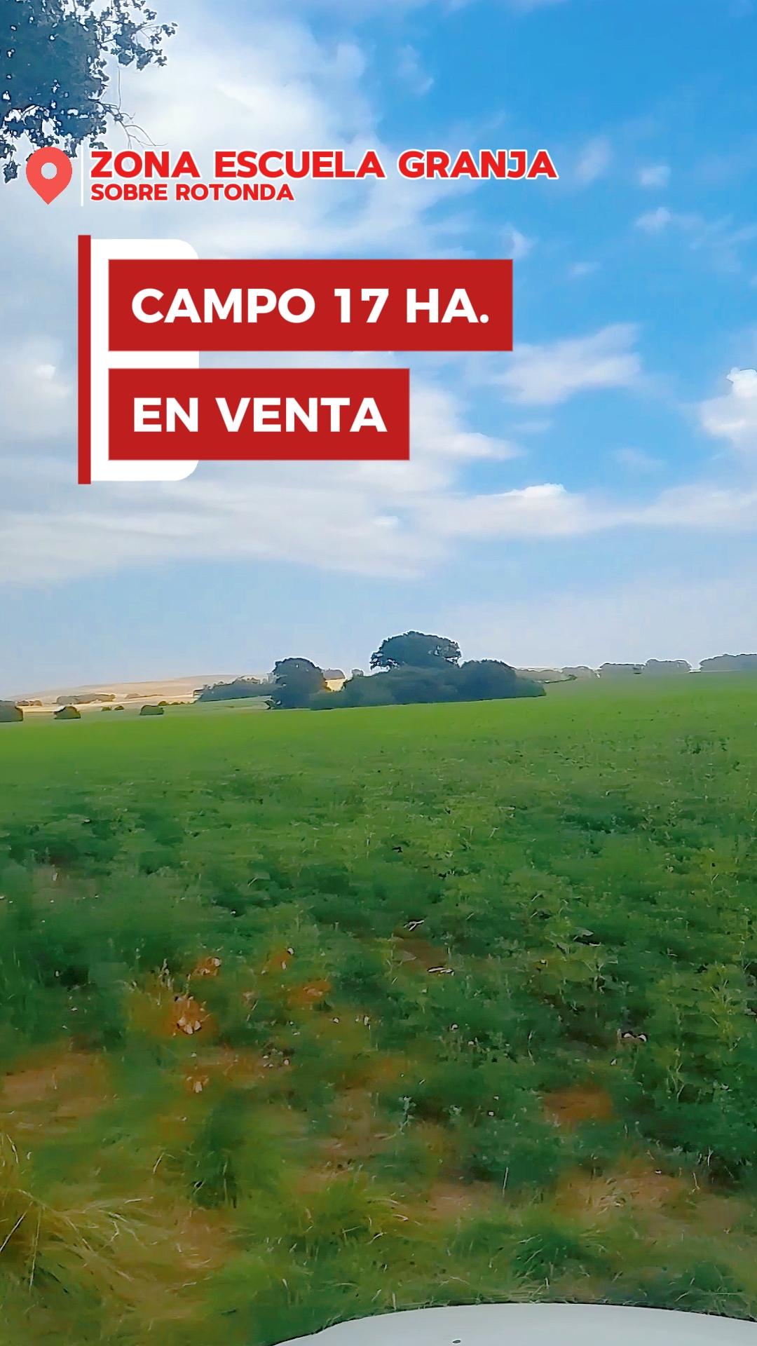Campo en Venta