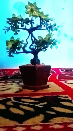 di balik hiasan 
