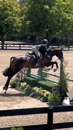 SO PRETTY! 🌿| SLOMO