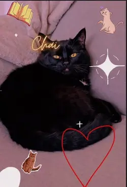 My dream cat 🐱#viral