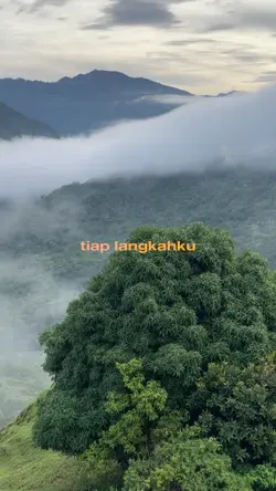 Tiap langkahku